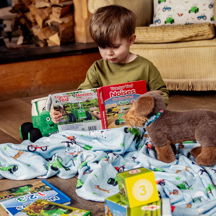 Tractor Ted Noises On The Farm Book