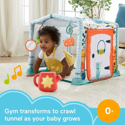 Fisher Price 3 In 1 Activity Gym