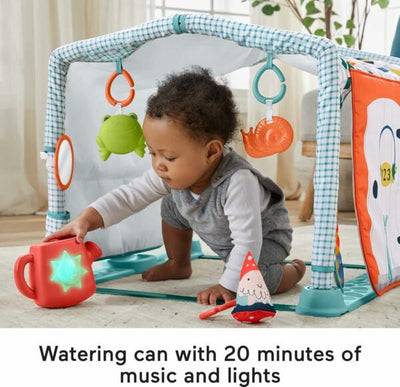 Fisher Price 3 In 1 Activity Gym