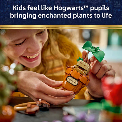Lego Harry Potter 76464 Hogwarts Herbology Plants