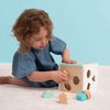 Owl And Fox Wooden Shape Sorter