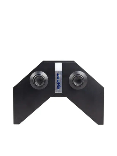 Exost Pro Turbo Truggy Hight Speed Remote Control Vehicle