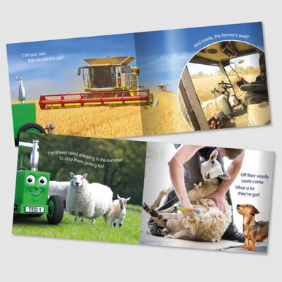 Tractor Ted A Summer's Day Storybook