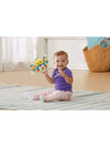 Vtech Shake And Rattle Birdie