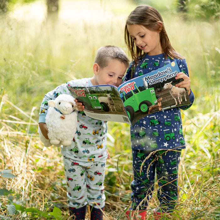Tractor Ted Meadow's Sleepy-time Storybook