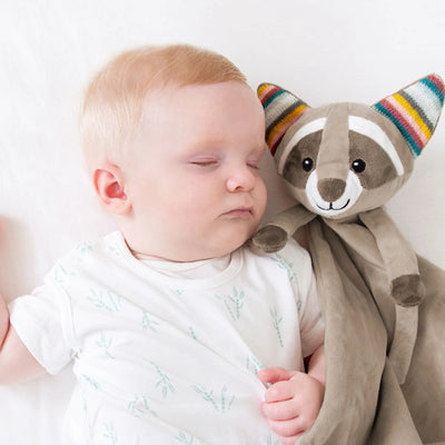 Zazu Robin The Racoon Baby Comforter With Heartbeat Sound
