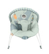 Asalvo Mummy Vibrating Baby Bouncer Light Green