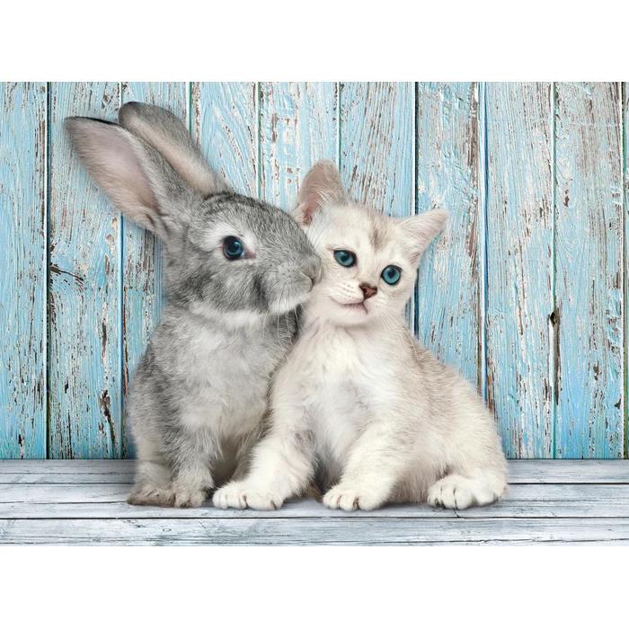 Clementoni 500pc Jigsaw Puzzle Cat And Bunny