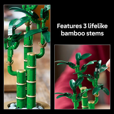 Lego Botanicals 10344 Lucky Bamboo