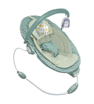 Asalvo Pinchi Musical Bouncer Light Green