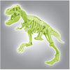 Science And Play Archeo Fun T Rex Dinosaur Glow In The Dark Dig Set
