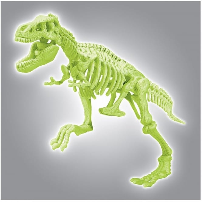 Science And Play Archeo Fun T Rex Dinosaur Glow In The Dark Dig Set