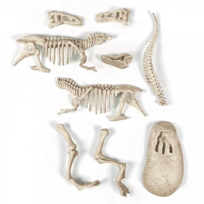 Science And Play Archeo Fun T Rex Dinosaur Glow In The Dark Dig Set