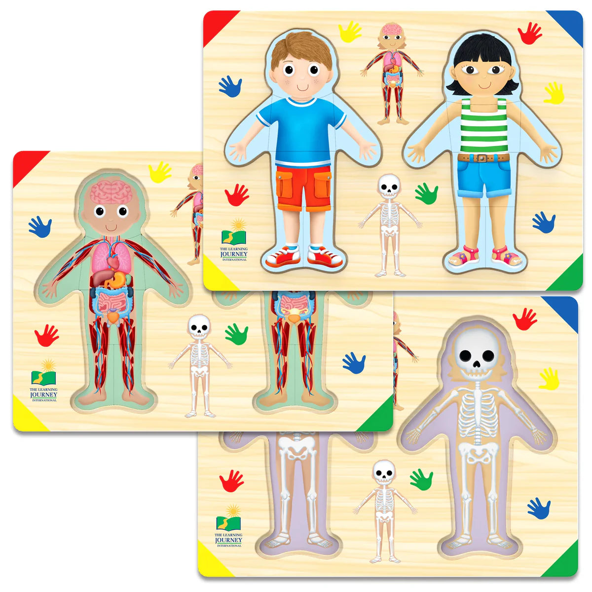 Lift And Learn My Body Wooden Puzzle