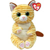 TY Mango Cat Beanie Bellie Soft Toy