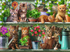 Ravensburger Cats On The Shelf 500pc Jigsaw Puzzle
