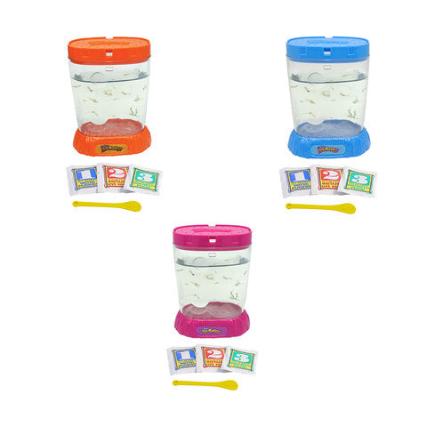 Sea Monkeys Ocean Zoo