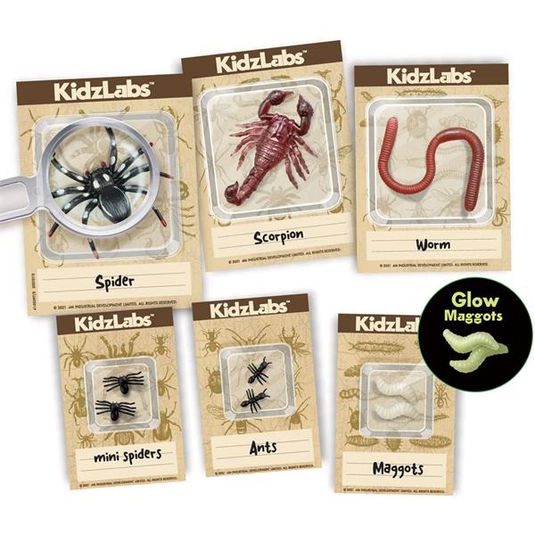 KidzLabs Creepy Crawley Digging Kit
