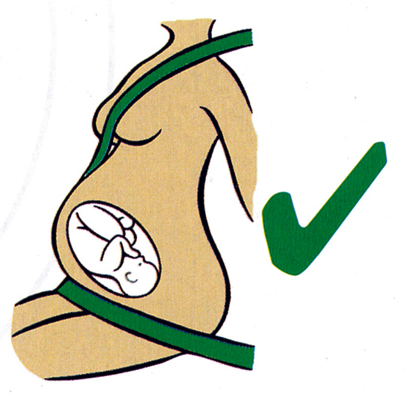 Clippasafe Bump Belt