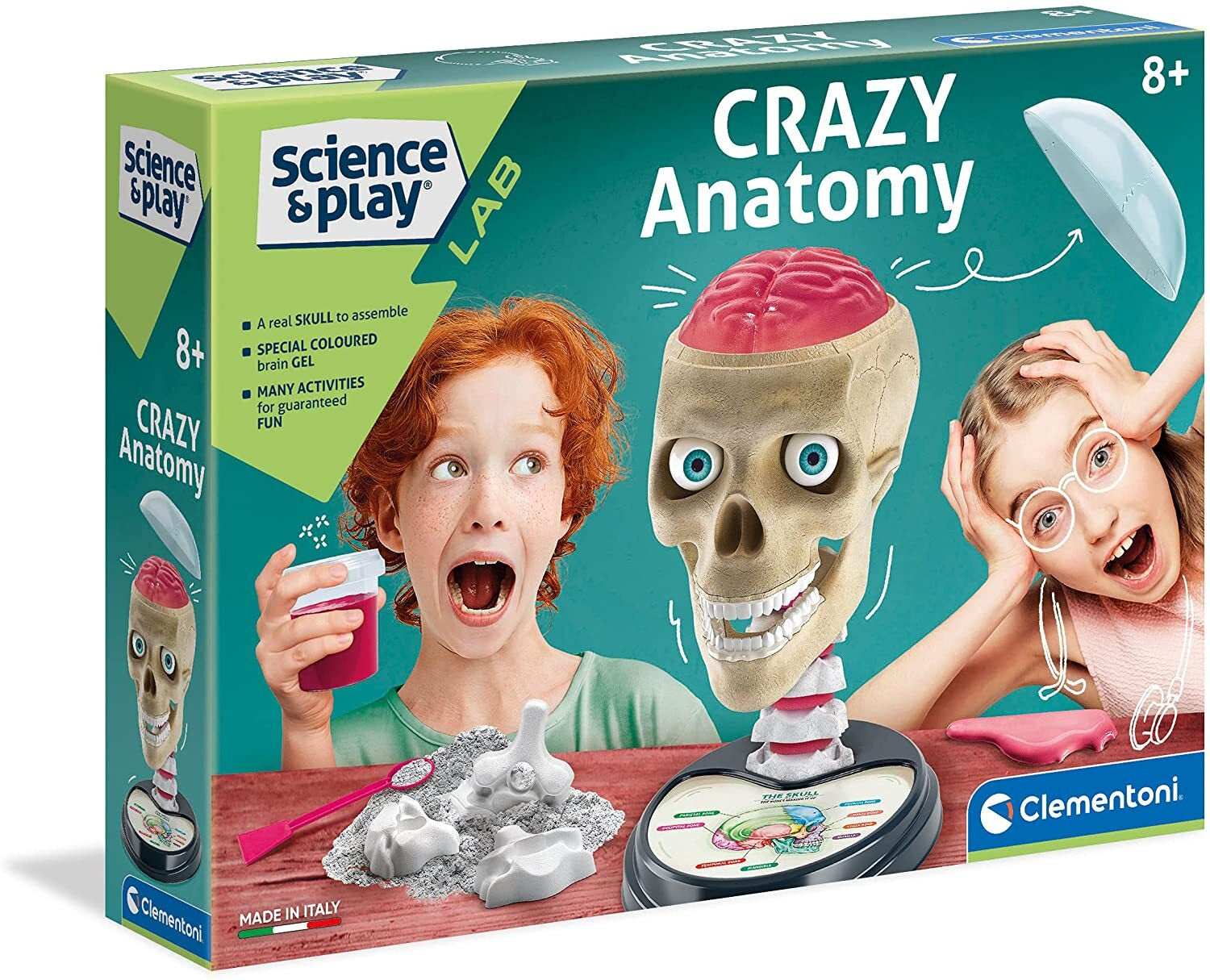 Science And Play Crazy Anatomy Playset