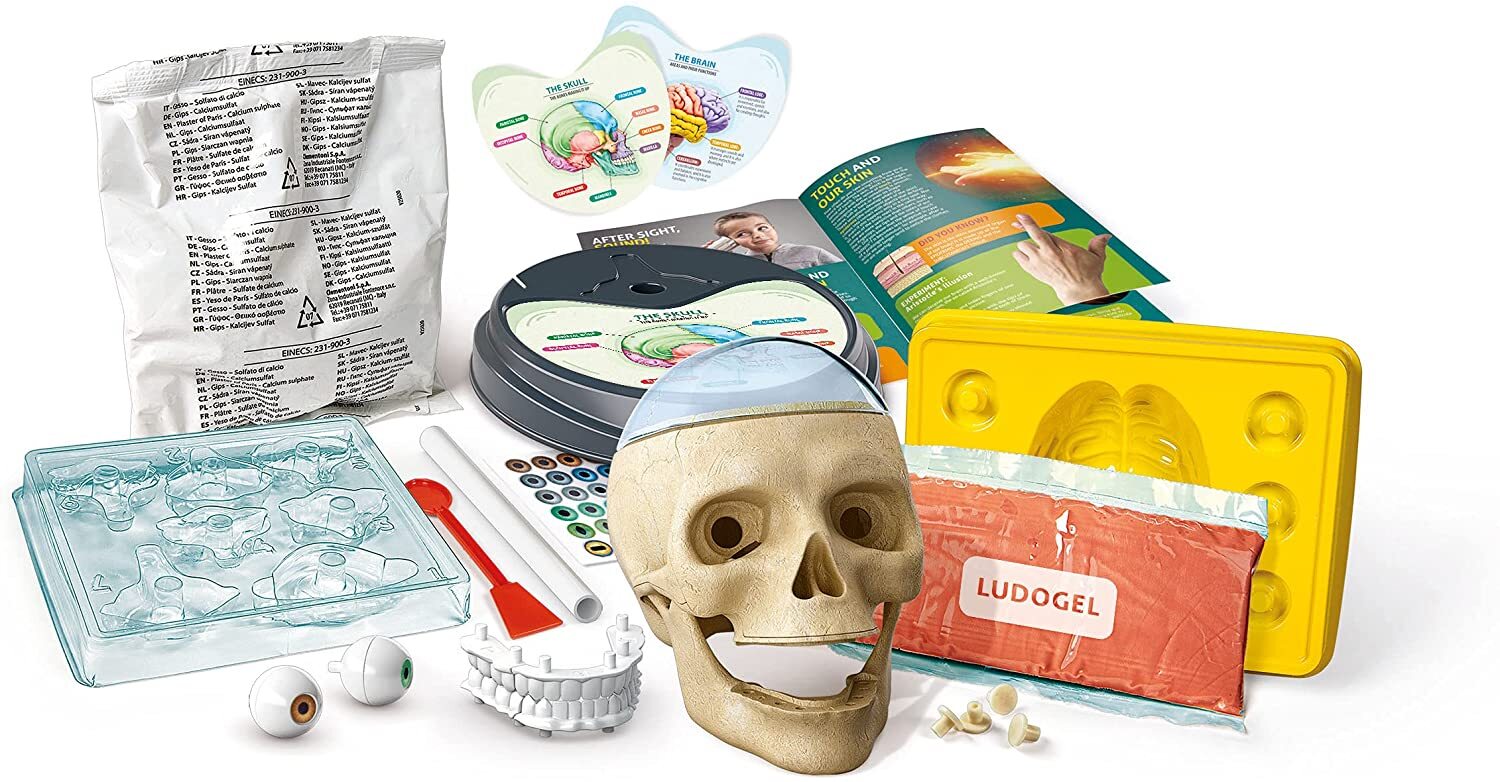 Science And Play Crazy Anatomy Playset