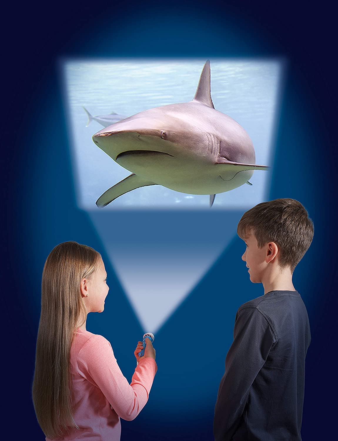 Brainstorm Shark Torch