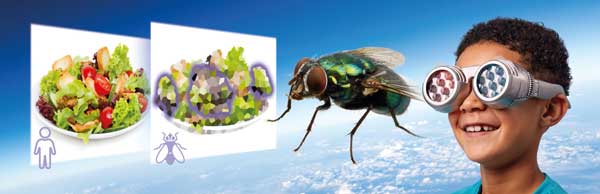 Brainstorm See The World Through Others Eyes