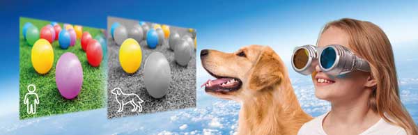 Brainstorm See The World Through Others Eyes