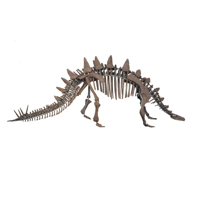 Natural History Museum Dinosaur Torch And Projector